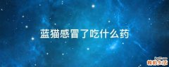 蓝猫感冒了吃什么药