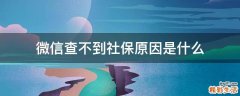 微信查不到社保原因是什么