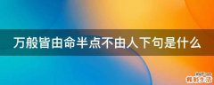 万般皆由命半点不由人下句是什么
