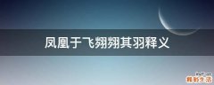 凤凰于飞翙翙其羽释义