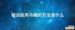 猫训练用马桶的方法是什么