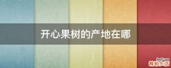 开心果树的产地在哪