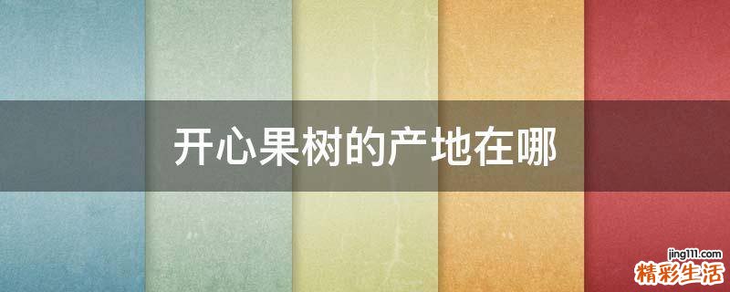 开心果树的产地在哪