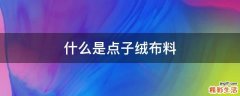 什么是点子绒布料