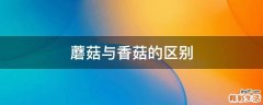 蘑菇与香菇的区别