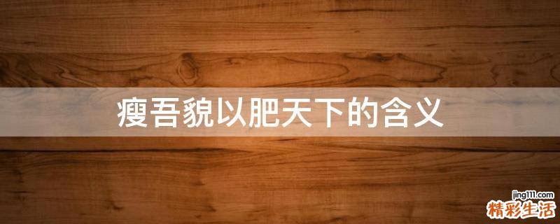 瘦吾貌以肥天下的含义