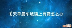 冬天早晨车玻璃上有霜怎么办
