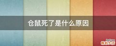 仓鼠死了是什么原因