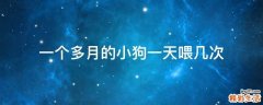 一个多月的小狗一天喂几次