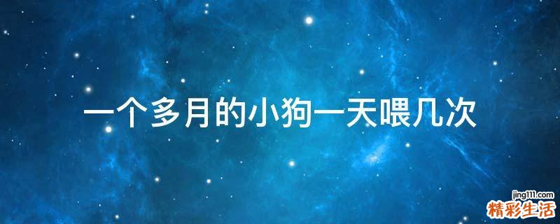 一个多月的小狗一天喂几次