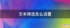 文本筛选怎么设置
