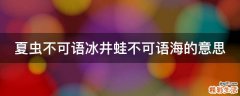 夏虫不可语冰井蛙不可语海的意思