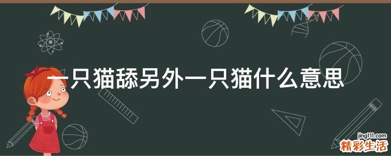 一只猫舔另外一只猫什么意思
