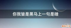 你我皆是黑马上一句是啥