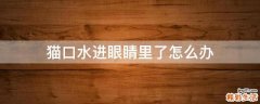 猫口水进眼睛里了怎么办