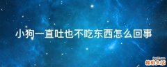 小狗一直吐也不吃东西怎么回事