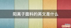 阳离子面料的英文是什么