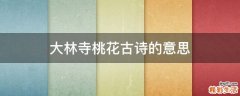大林寺桃花古诗的意思