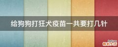 给狗狗打狂犬疫苗一共要打几针