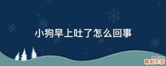 小狗早上吐了怎么回事