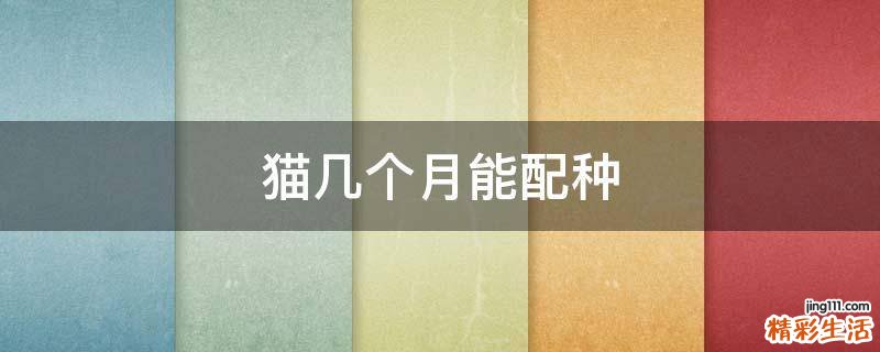 猫几个月能配种