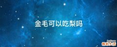 金毛可以吃梨吗