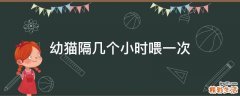 幼猫隔几个小时喂一次