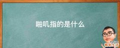 啪叽指的是什么