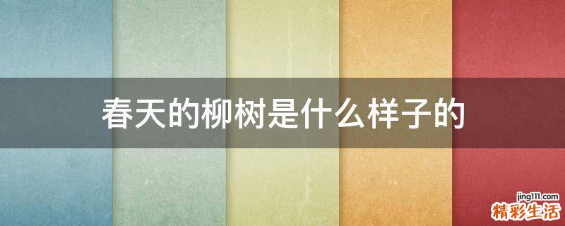 春天的柳树是什么样子的