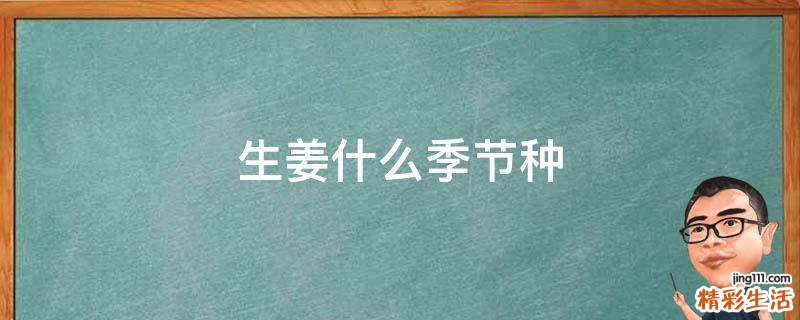 生姜什么季节种