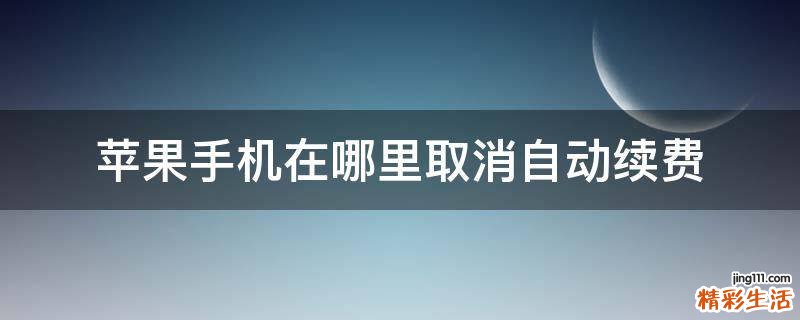 苹果手机在哪里取消自动续费