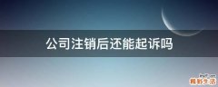 公司注销后还能起诉吗