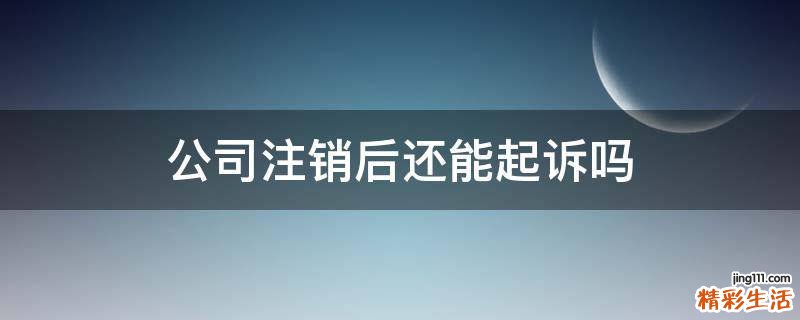 公司注销后还能起诉吗