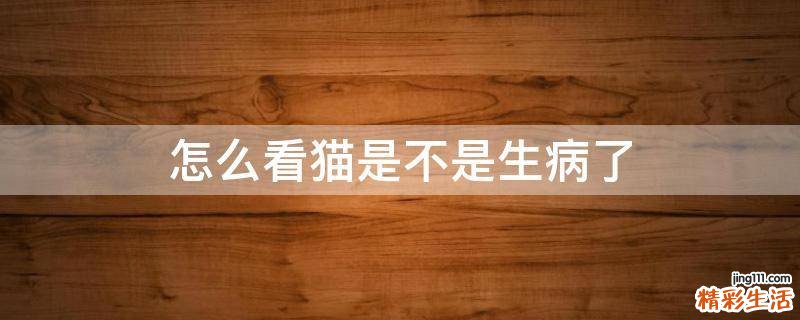 怎么看猫是不是生病了