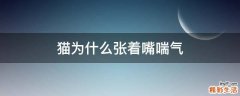 猫为什么张着嘴喘气