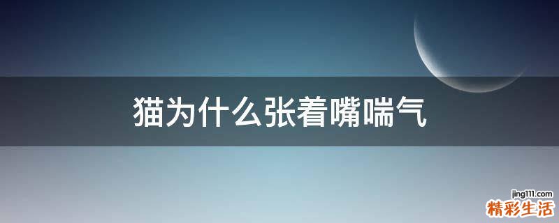 猫为什么张着嘴喘气