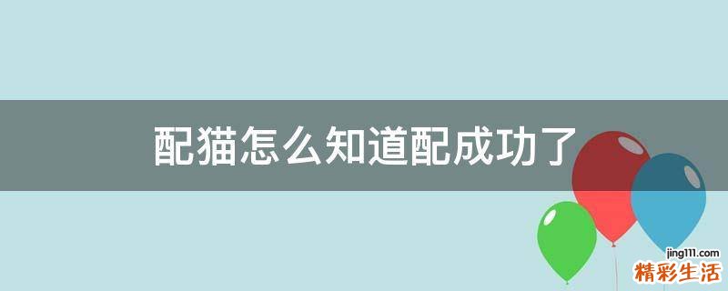 配猫怎么知道配成功了