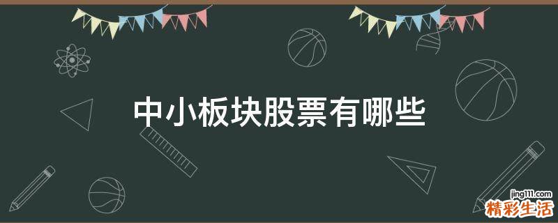 中小板块股票有哪些