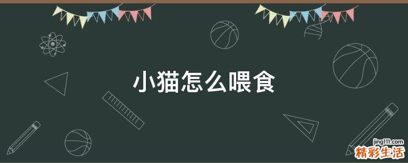 小猫怎么喂食