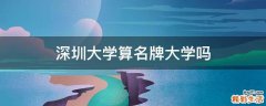 深圳大学算名牌大学吗