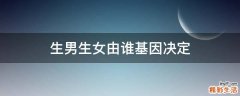 生男生女由谁基因决定