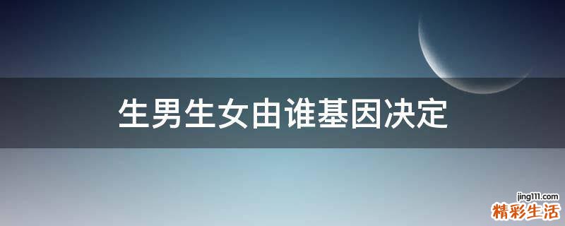 生男生女由谁基因决定