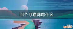 四个月猫咪吃什么