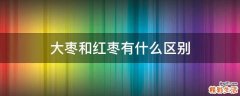 大枣和红枣有什么区别