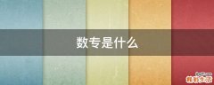 数专是什么