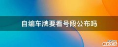 自编车牌要看号段公布吗