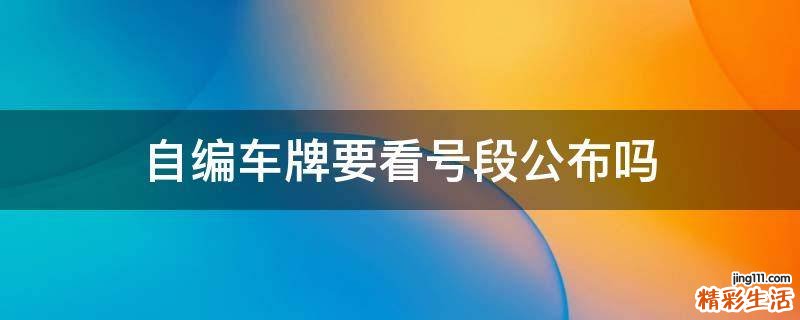 自编车牌要看号段公布吗