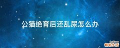 公猫绝育后还乱尿怎么办