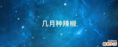 几月种辣椒