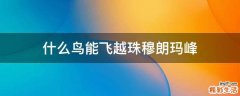 什么鸟能飞越珠穆朗玛峰
